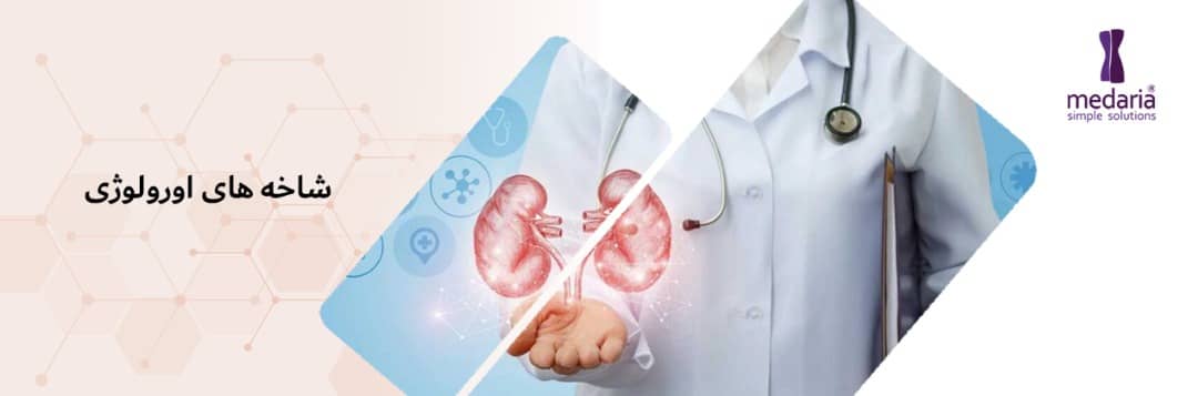Branches of urology